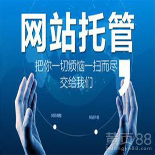 汽車清洗機(jī)網(wǎng)站建設(shè)優(yōu)化一條龍服務(wù) 技術(shù)推廣服務(wù)的全面策略