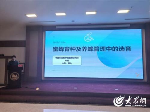 煙臺(tái)市召開蜂業(yè)發(fā)展大會(huì) 以技術(shù)推廣服務(wù)賦能特色產(chǎn)業(yè)高質(zhì)量發(fā)展